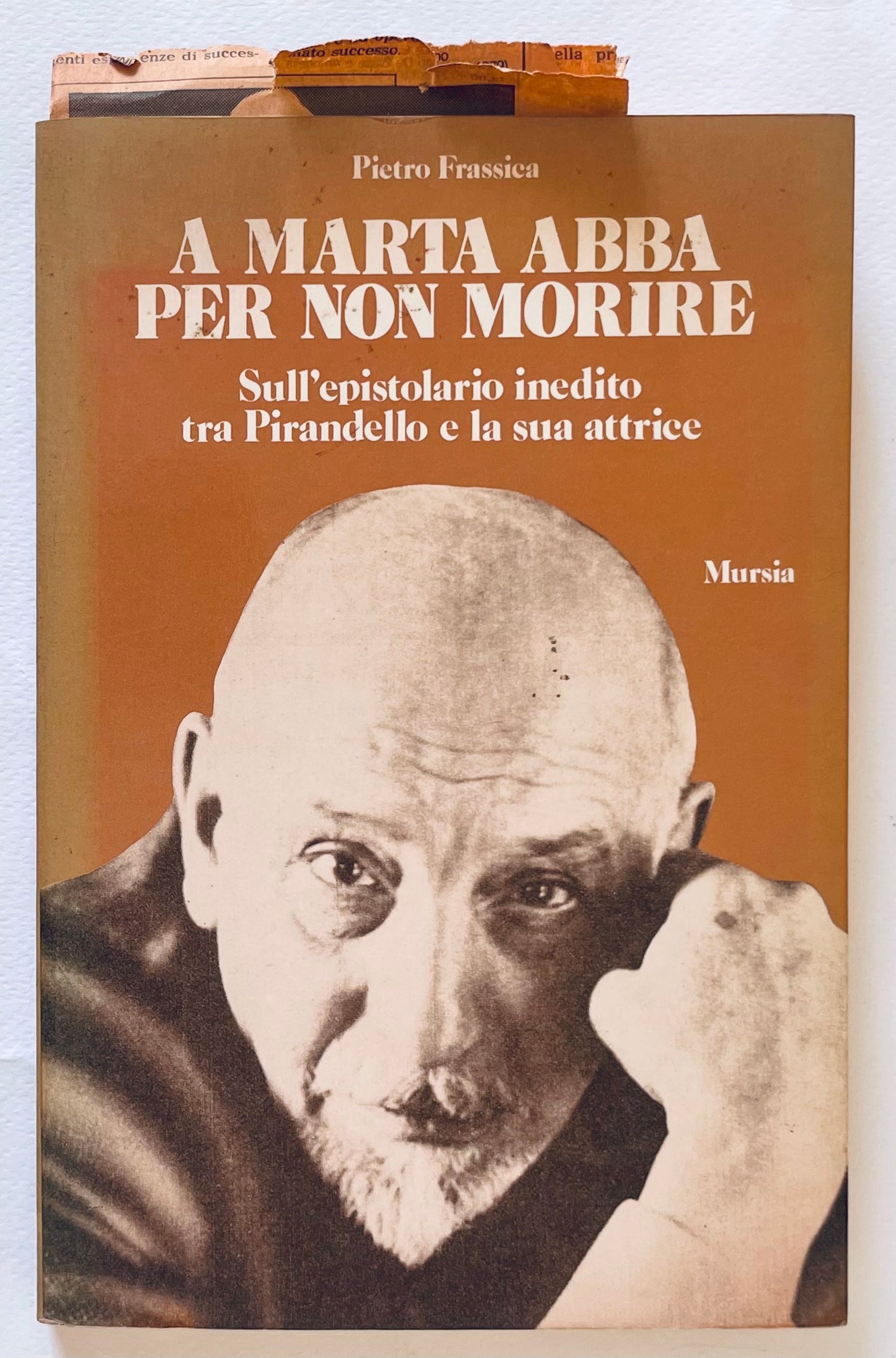 No botanical name found in the title to create alt text.