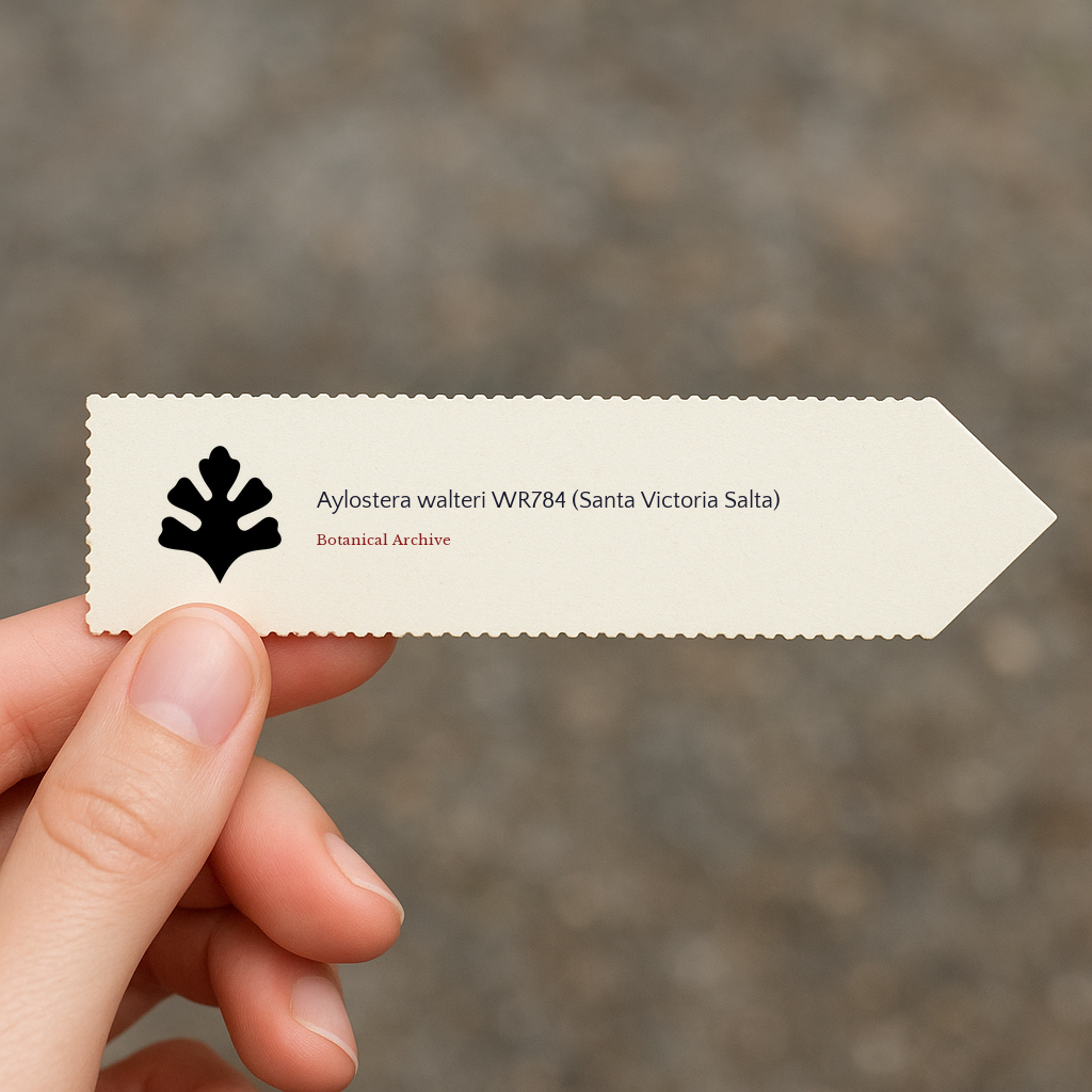 Printed plant label for Aylostera walteri WR784 held by hand with botanical archive logo