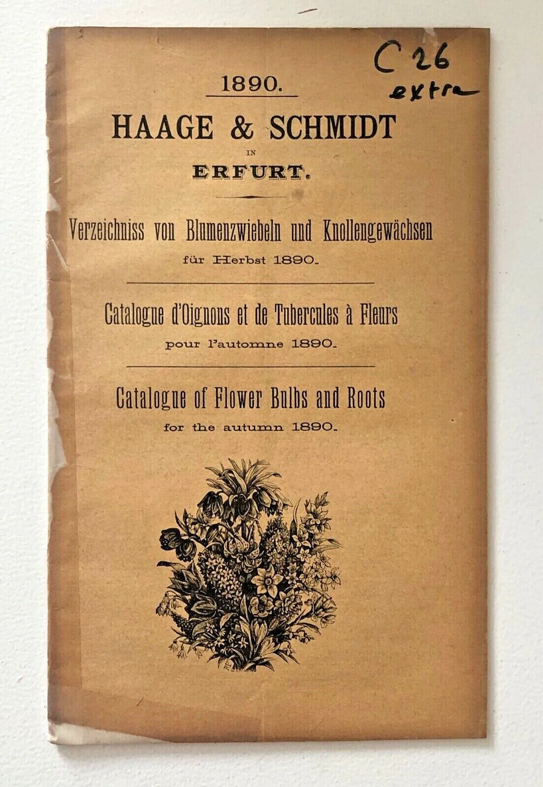 1890 Haage & Schmidt vintage catalog of flower bulbs and roots with botanical illustrations