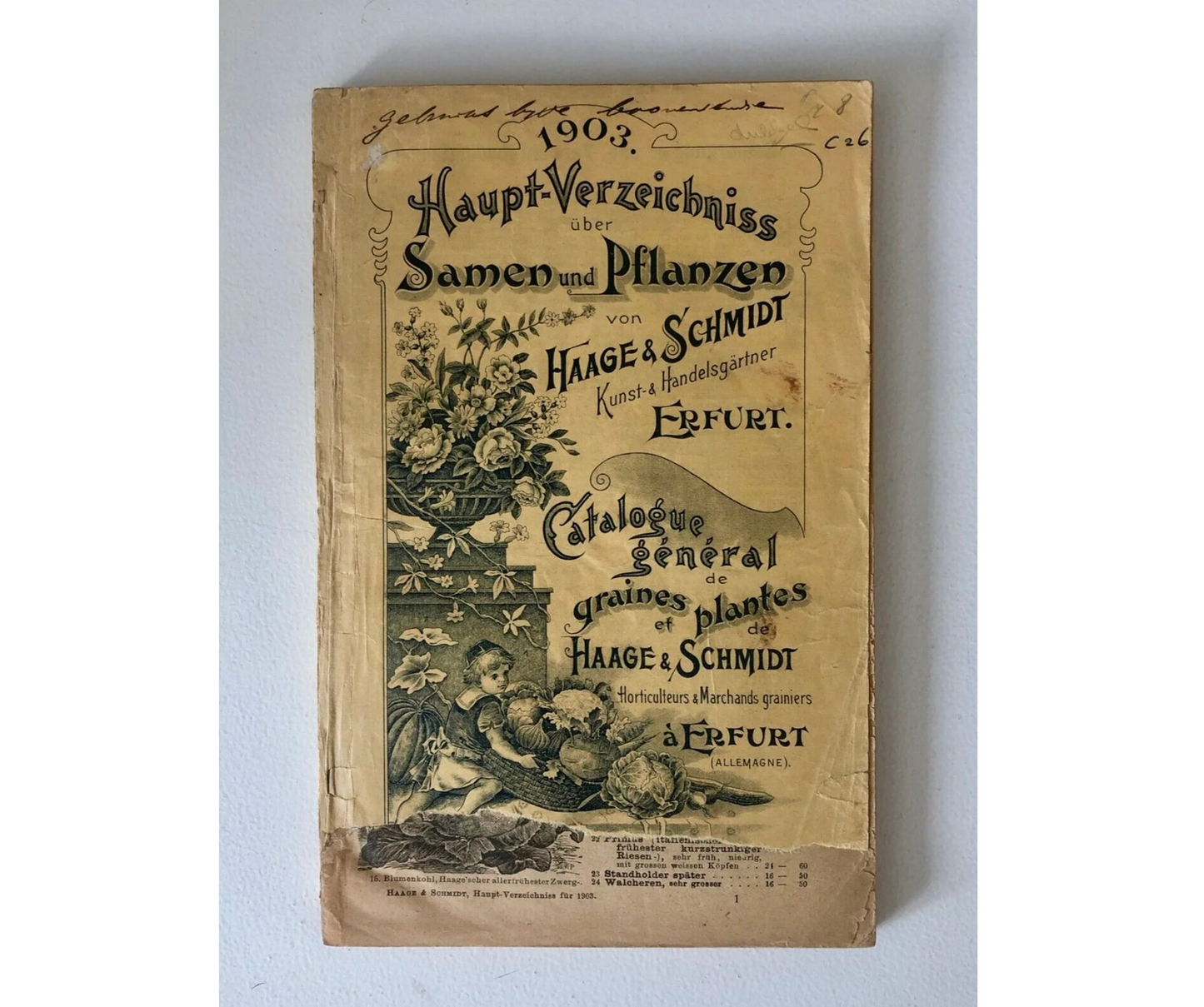 Catalogo vintage di semi e piante 1903 Haage & Schmidt Haupt-Verzeichniss da Erfurt