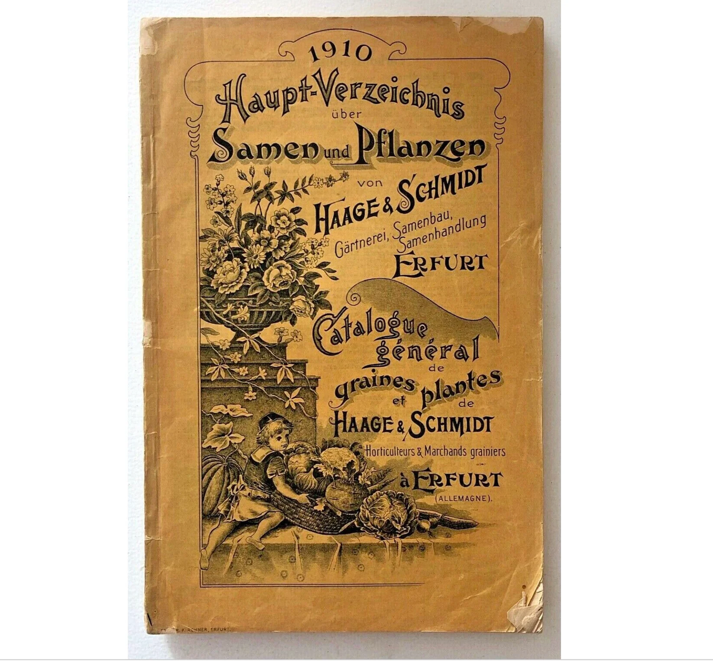 Catalogo illustrato di semi e piante Vintage 1910 Haage & Schmidt da Erfurt, Germania