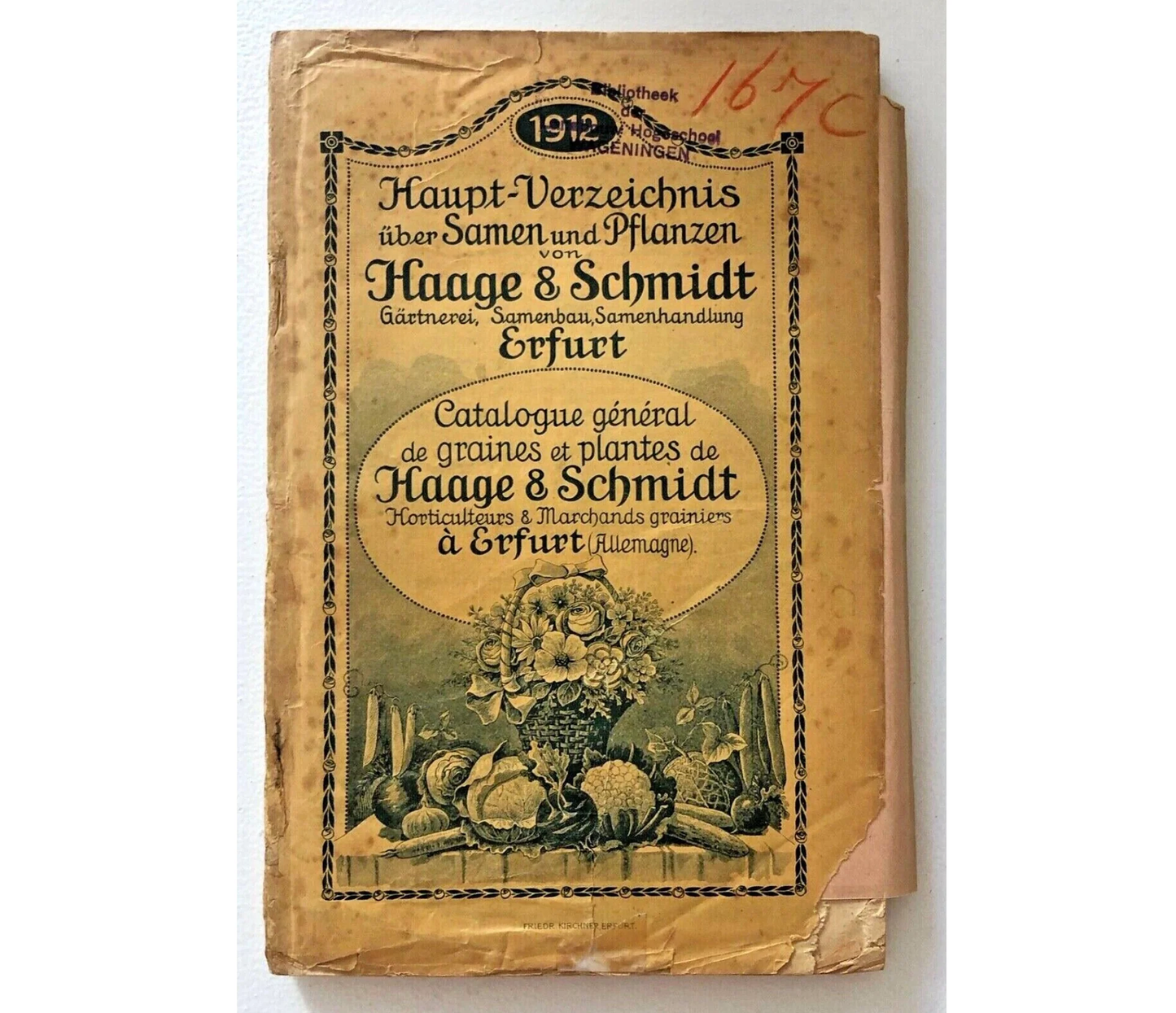 Haage & Schmidt 1912 vintage seed and plant catalog from Erfurt with botanical illustrations