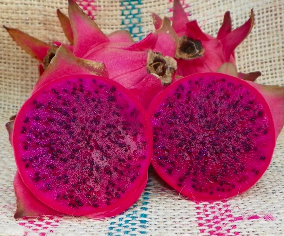Hylocereus undatus frutto del drago dalla polpa rosa vibrante con semi neri e segmenti di buccia appuntiti