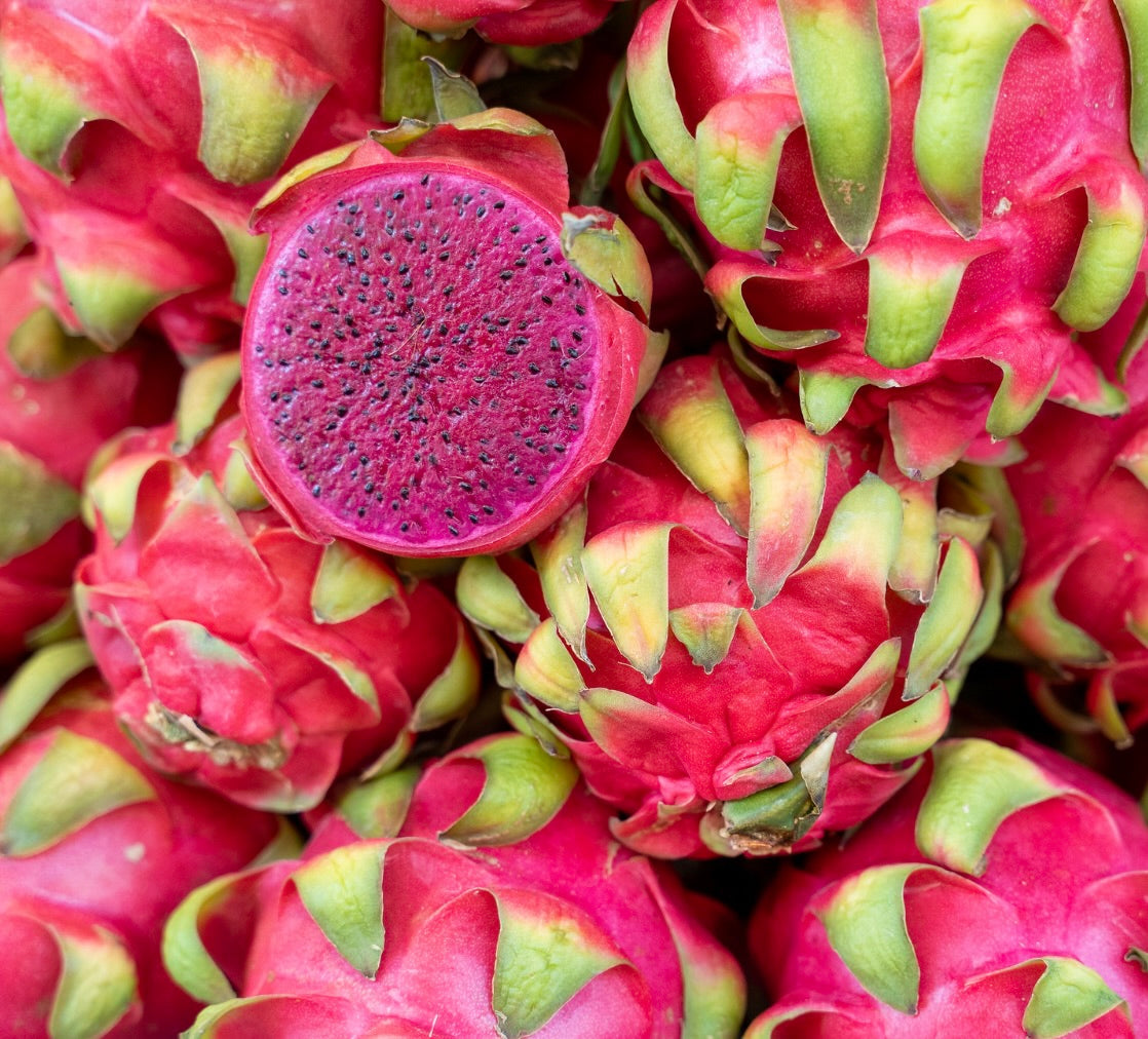 Frutto succoso maturo di Hylocereus undatus con pelle rosa brillante e scaglie verdi, primo piano