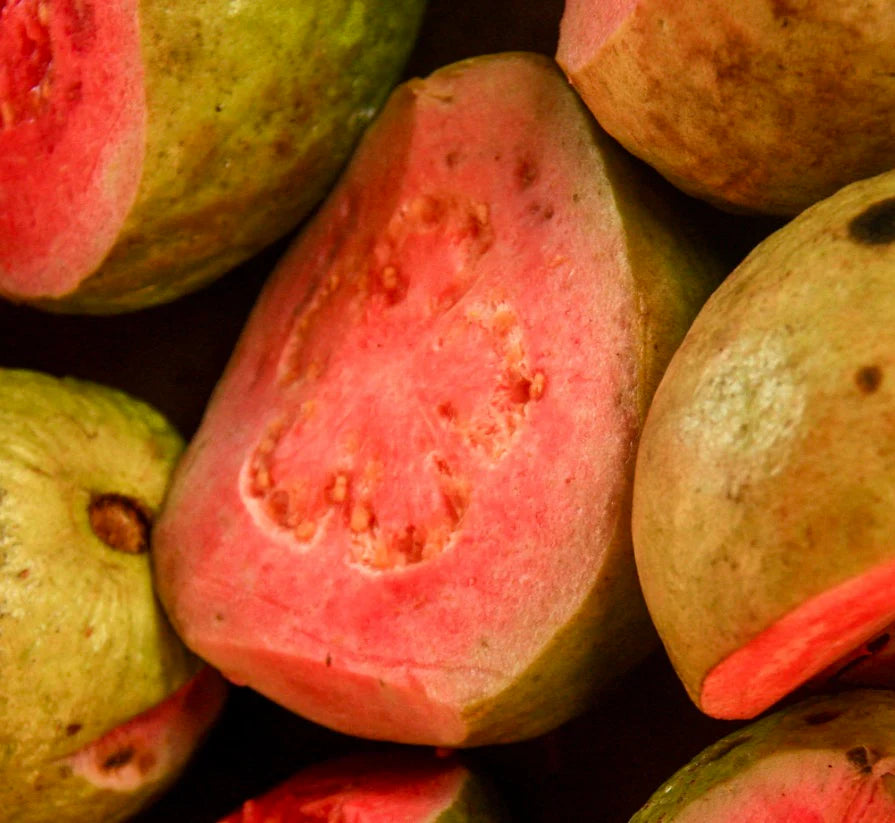Frutto maturo di Psidium guajava cv TOKI, guava con buccia verde e polpa rossa, primo piano