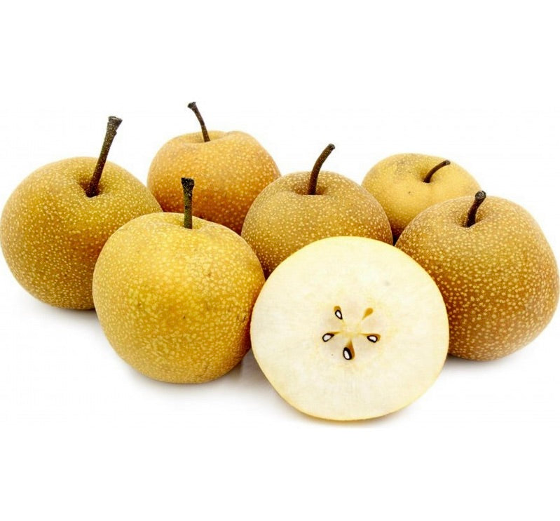 Pyrus pyrifolia cv NASHI 梨 | Asian pear | Nashi pear