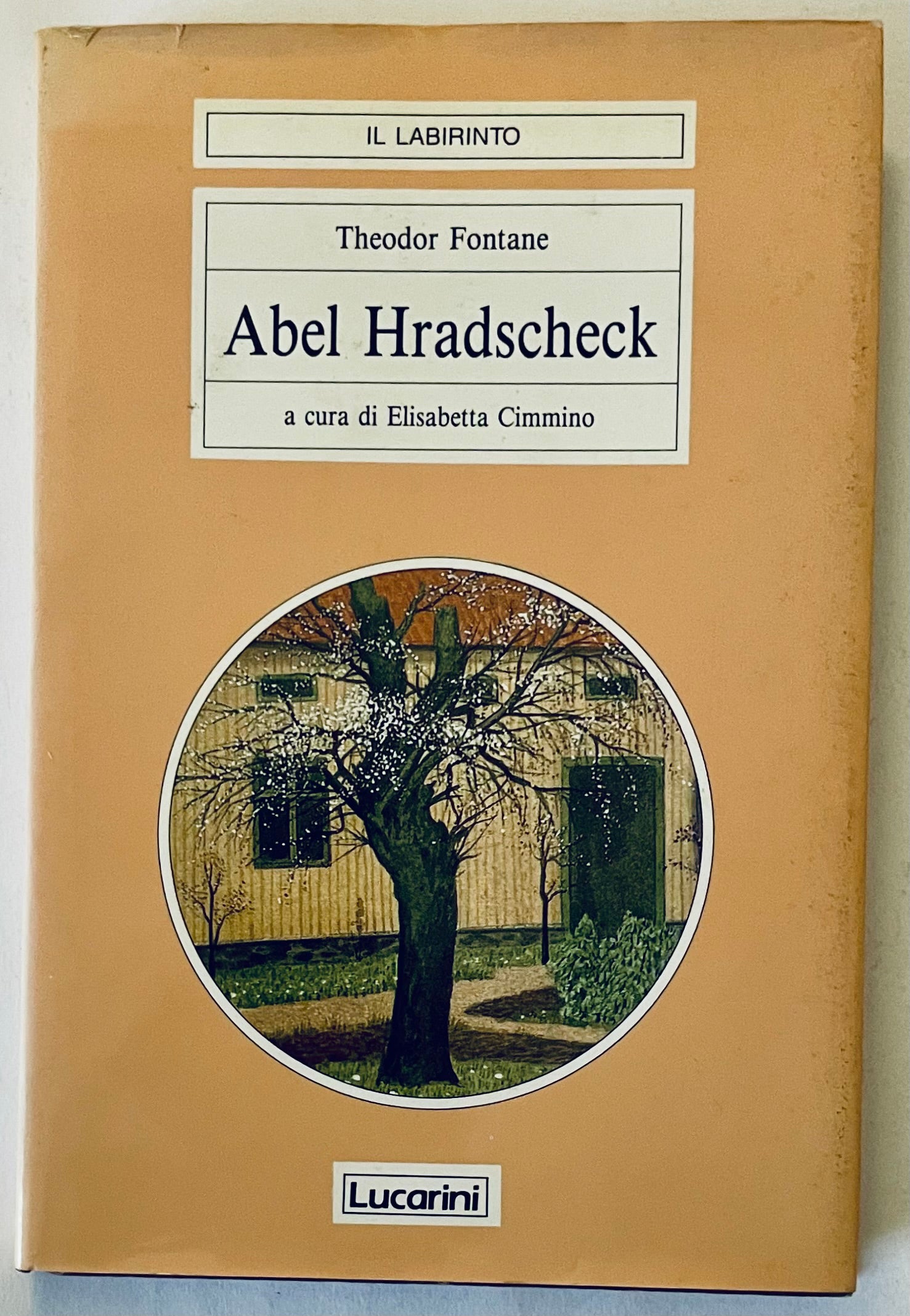 Abel Hradscheck by Theodor Fontane vintage literary book with illustrated cover art