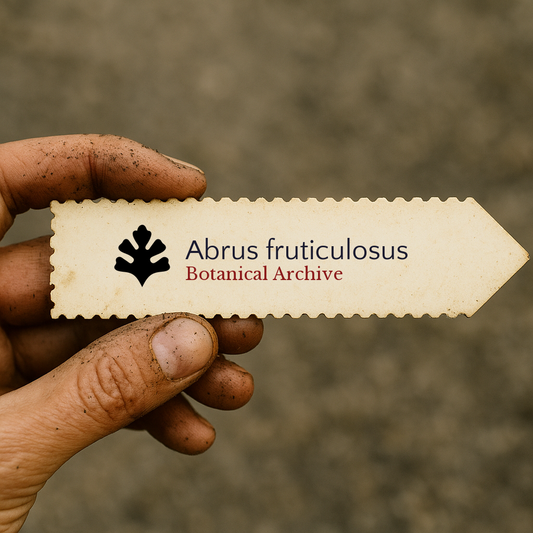 Etichetta plantare stampata per Abrus fruticulosus con logo di Botanical Archive tenuta da mano sporca