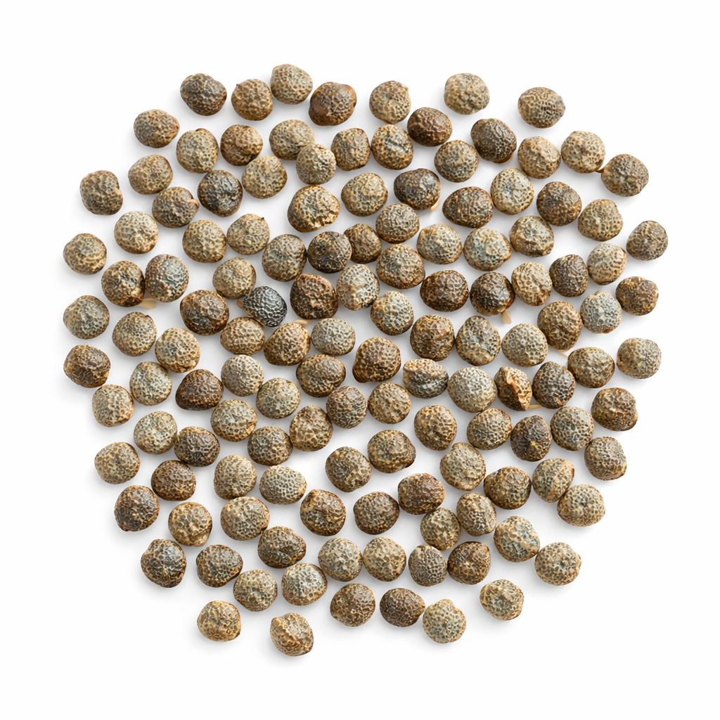 Adenia glauca seeds with textured brown and beige surfaces on white background