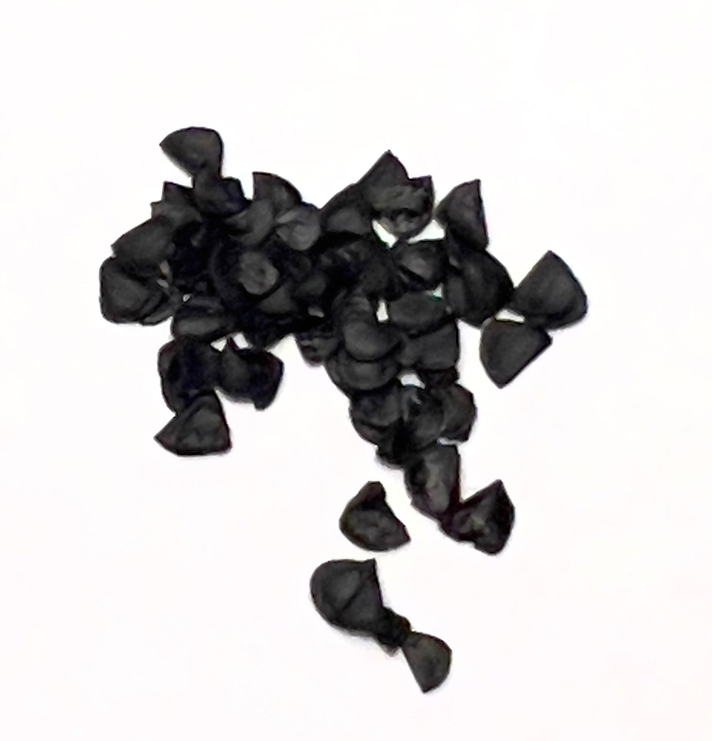 Agave pedunculifera black seeds for succulent plant propagation close-up on white background