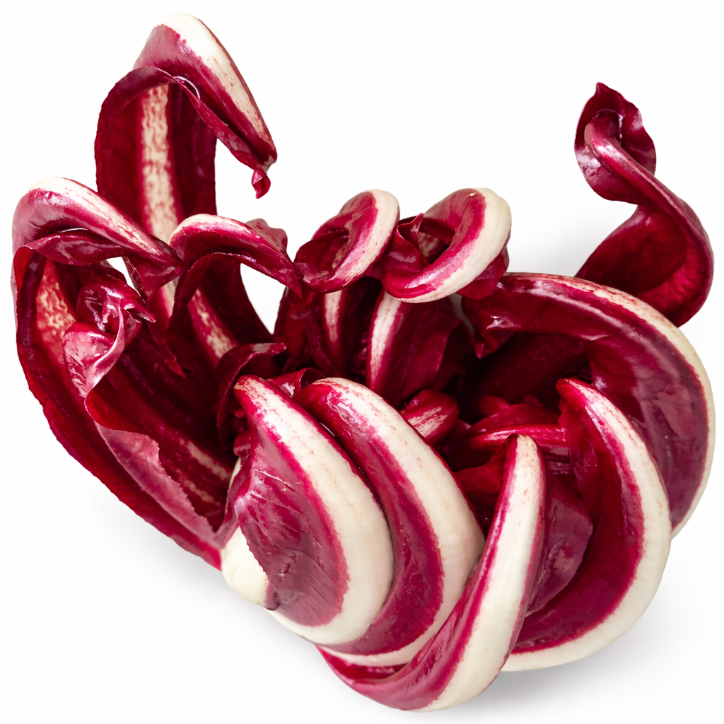 Cichorium intybus var. foliosum 'Italian Red Chicory' curly red and white leafy vegetable