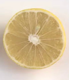 Sezione trasversale del frutto di limetta dolce Citrus limettioides giallo pallido che mostra polpa succosa e buccia sottile