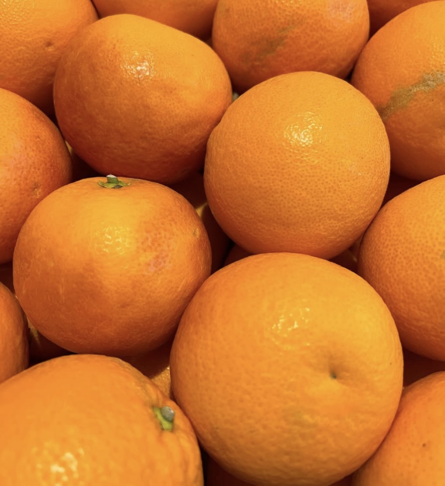 Citrus sinensis cv TAROCCO SCIRE' ripe bright orange citrus fruits with textured skin close-up