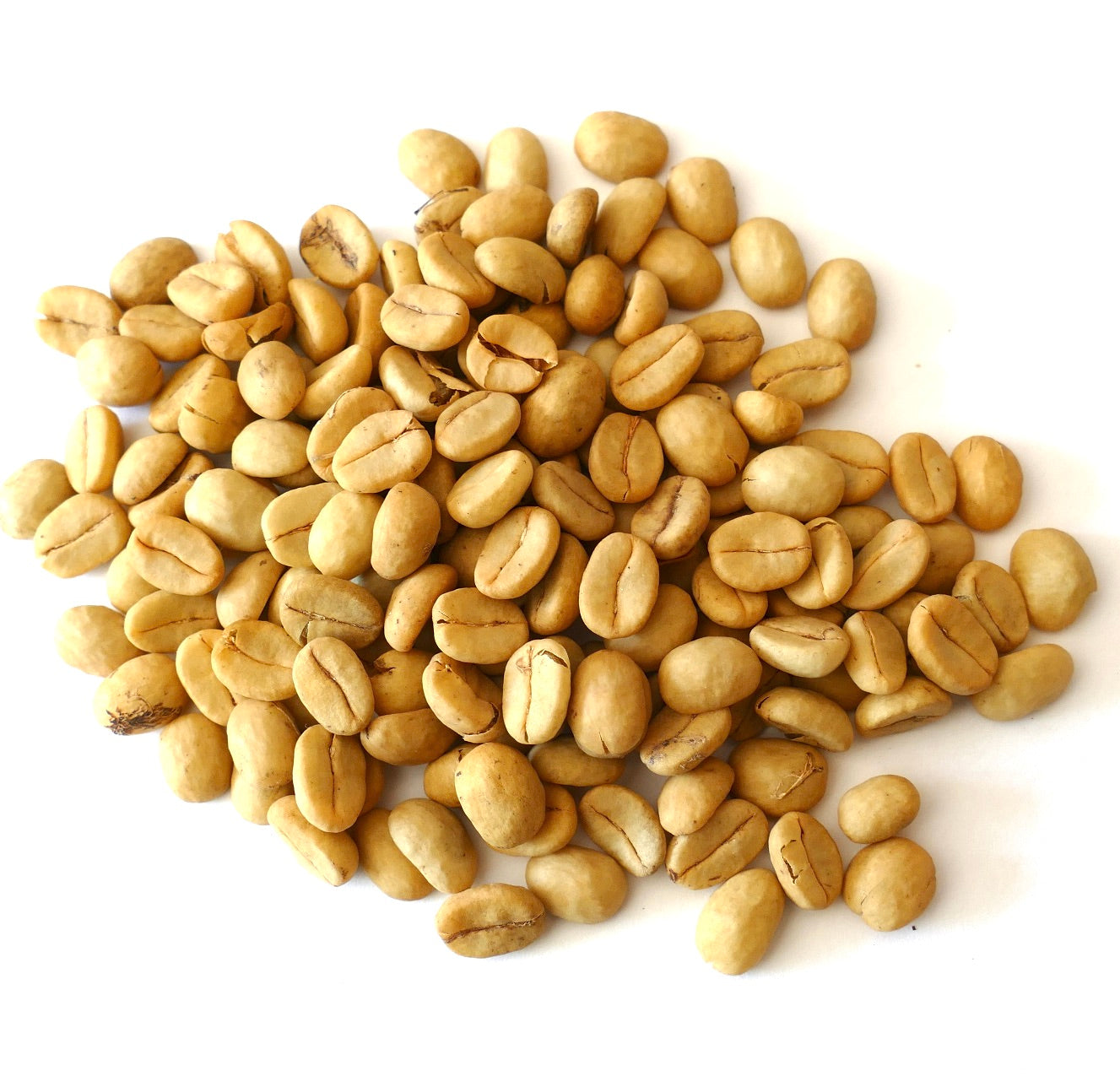 Coffea arabica 'Obata' raw coffee seeds close-up on white background