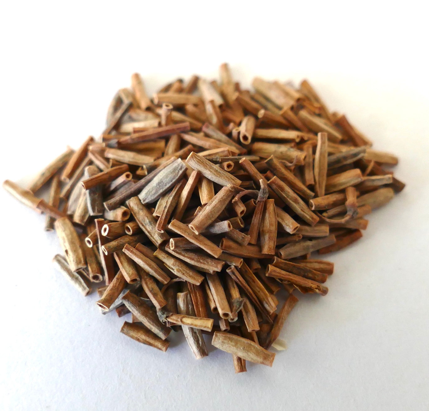 Coronilla juncea dried seed pods pile for planting or propagation