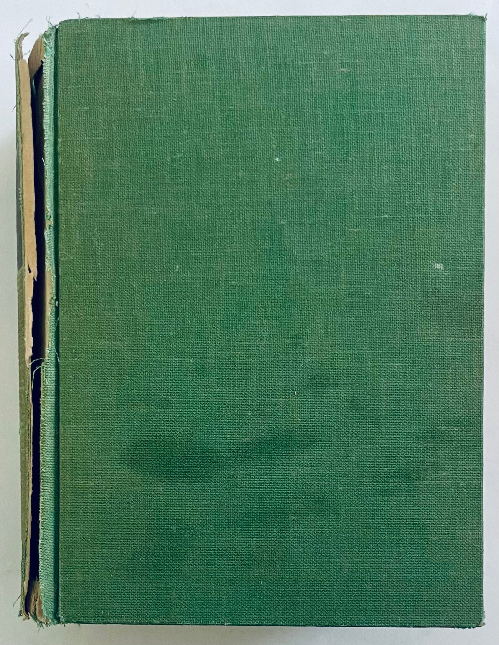 Dizionario di terminologia medica vintage in francese-italiano di M. Garnier e V. Delamare del 1959