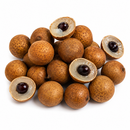 Dimocarpus longan 35-60cm | Longan | Dragon's eye
