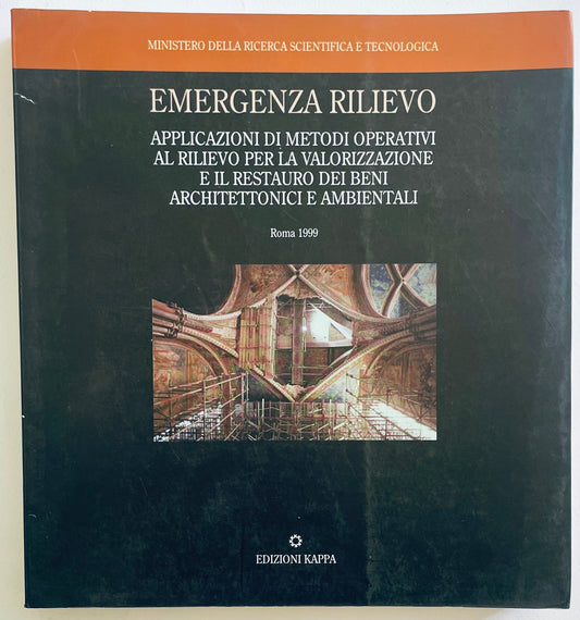 EMERGENZA RILIEVO succulenta con foglie spesse, strutturate e colorazione verde vibrante