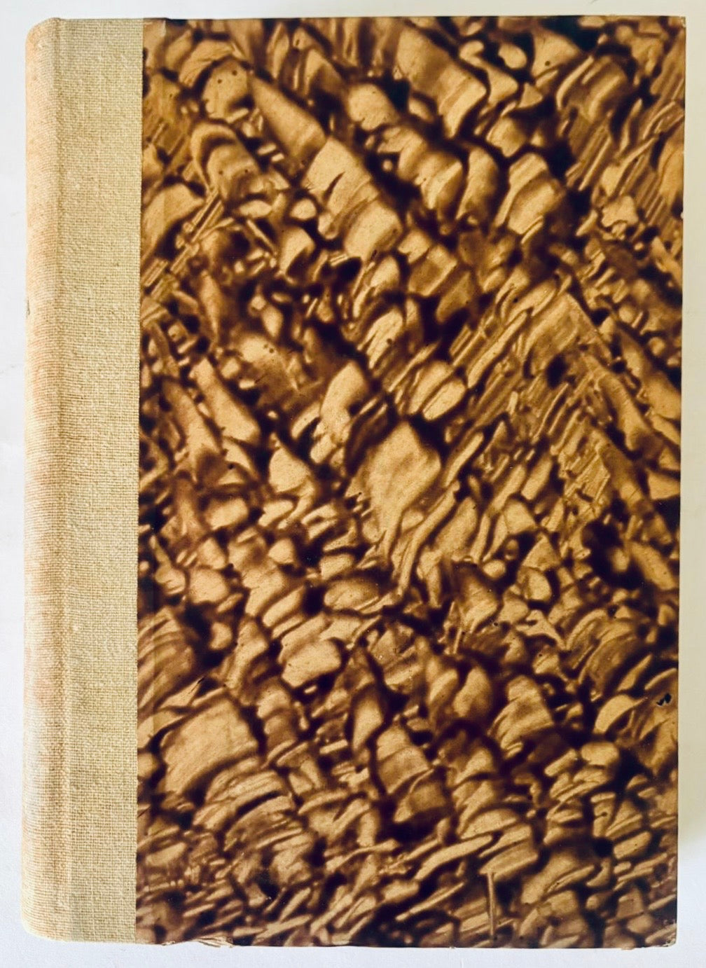 Fisiologia Umana volume I libro vintage del Prof. Dott. Igino Spadolini sulla fisiologia umana edizione 1943