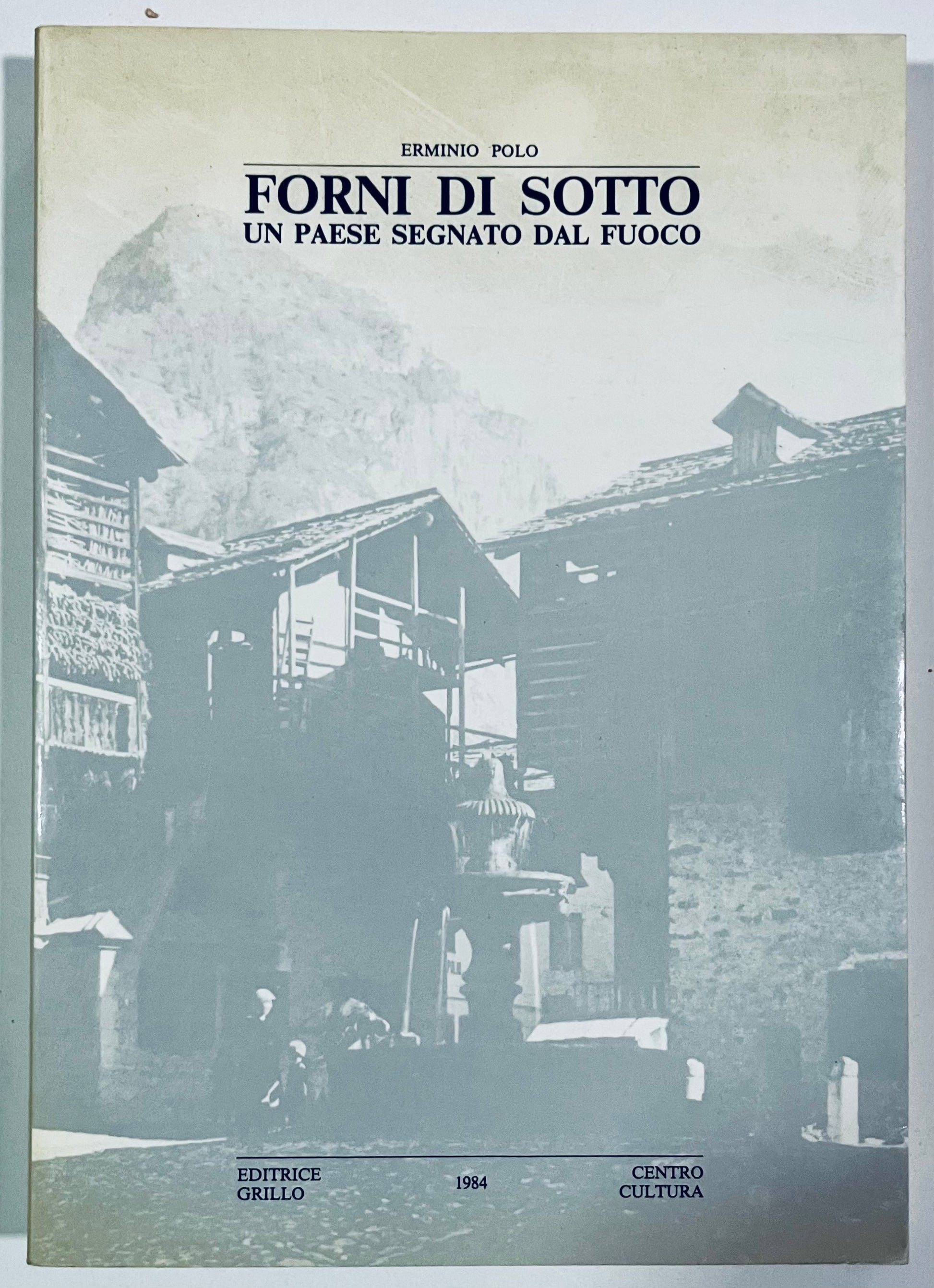 Libro culturale vintage su Forni di Sotto di Erminio Polo sul villaggio italiano colpito dall'incendio del 1984