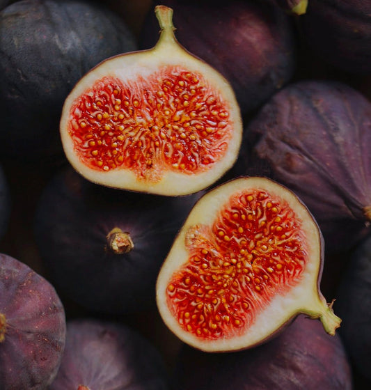 Ficus carica cv SAN MANGO ripe purple figs with juicy red flesh and seeds close-up
