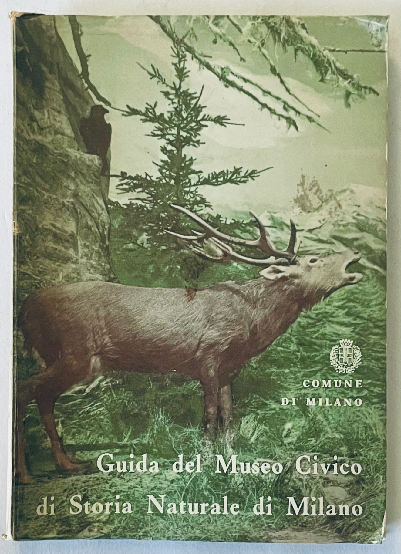 Guide del Museo Civico di Storia Naturale di Milano libro vintage di storia naturale di C. Conci