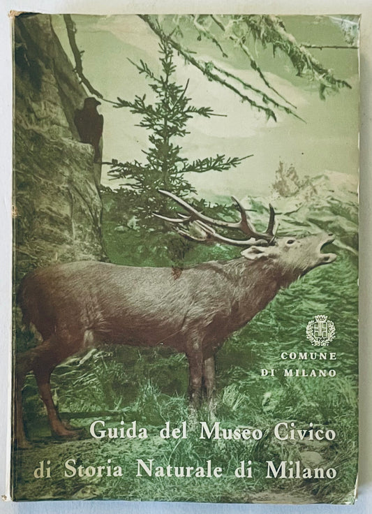 Guide del Museo Civico di Storia Naturale di Milano libro vintage di storia naturale di C. Conci