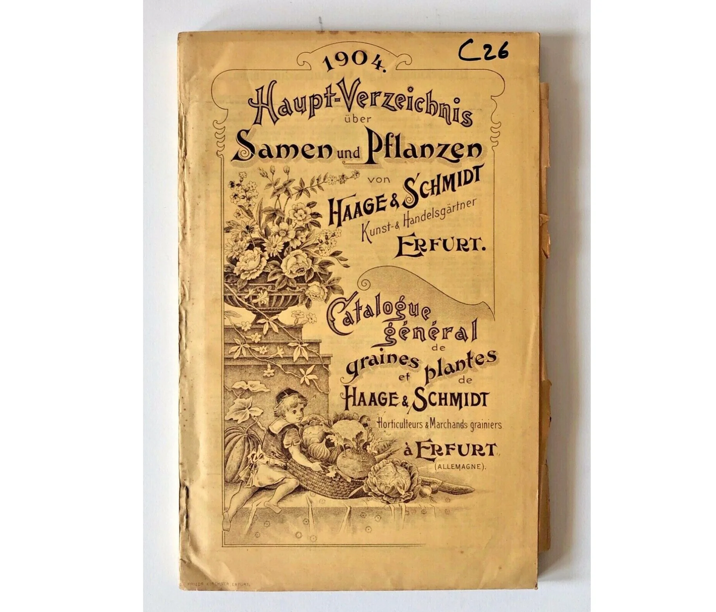 1904 Haage & Schmidt vintage seed and plant catalog botanical horticulture guide