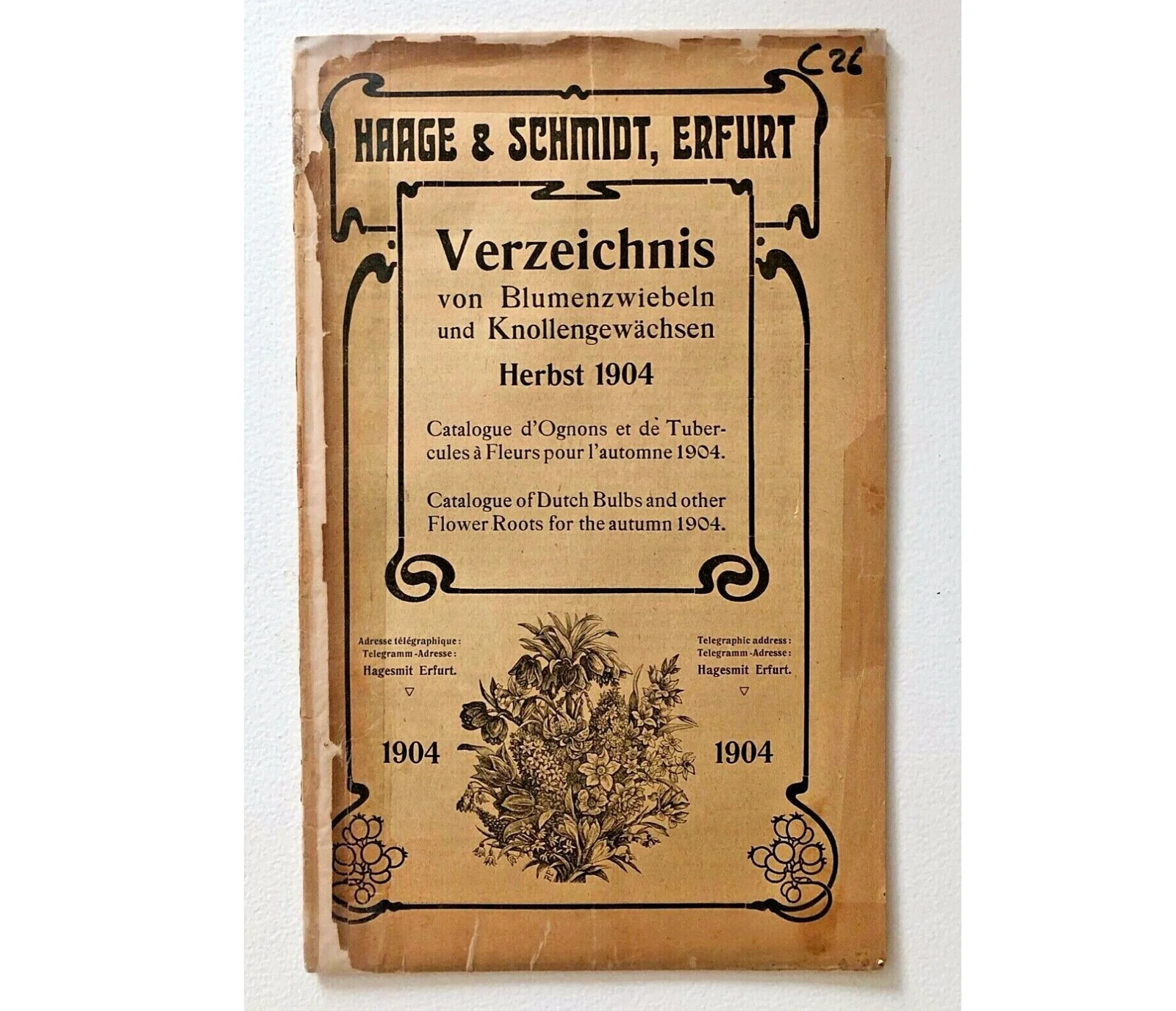 Haage & Schmidt 1904 vintage catalog of Dutch bulbs and flower roots autumn guide