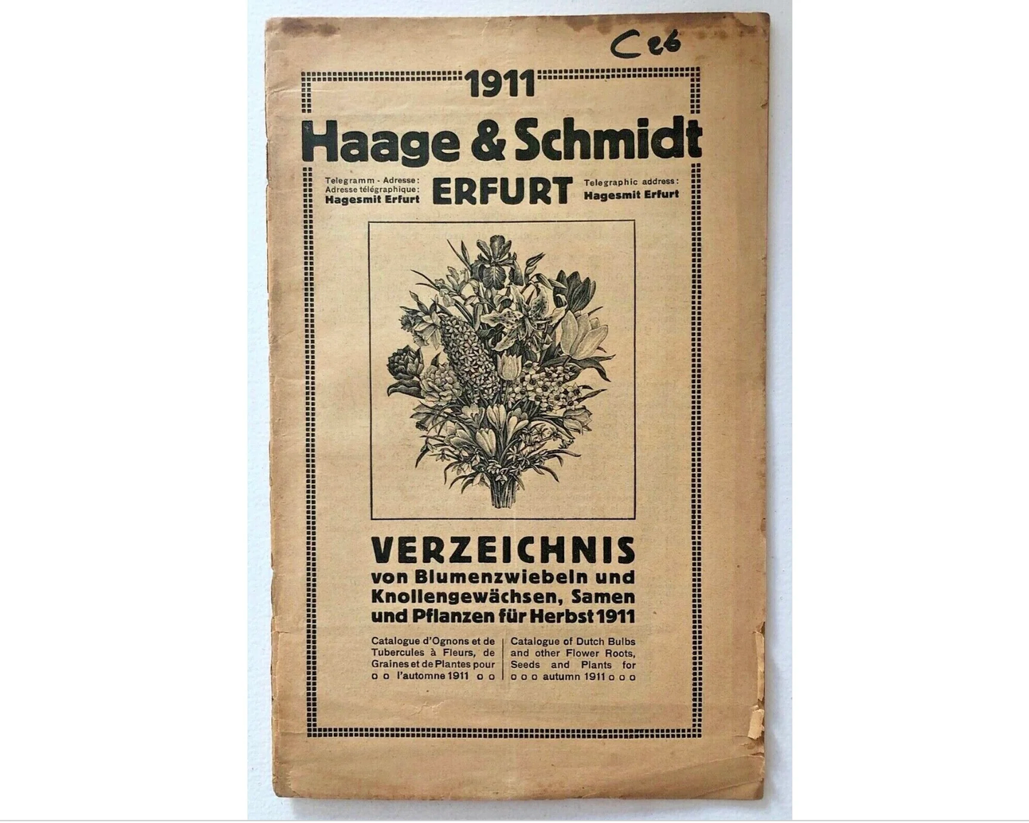 Catalogo vintage 1911 Haage & Schmidt Erfurt di bulbi da fiore, semi e piante per l'autunno