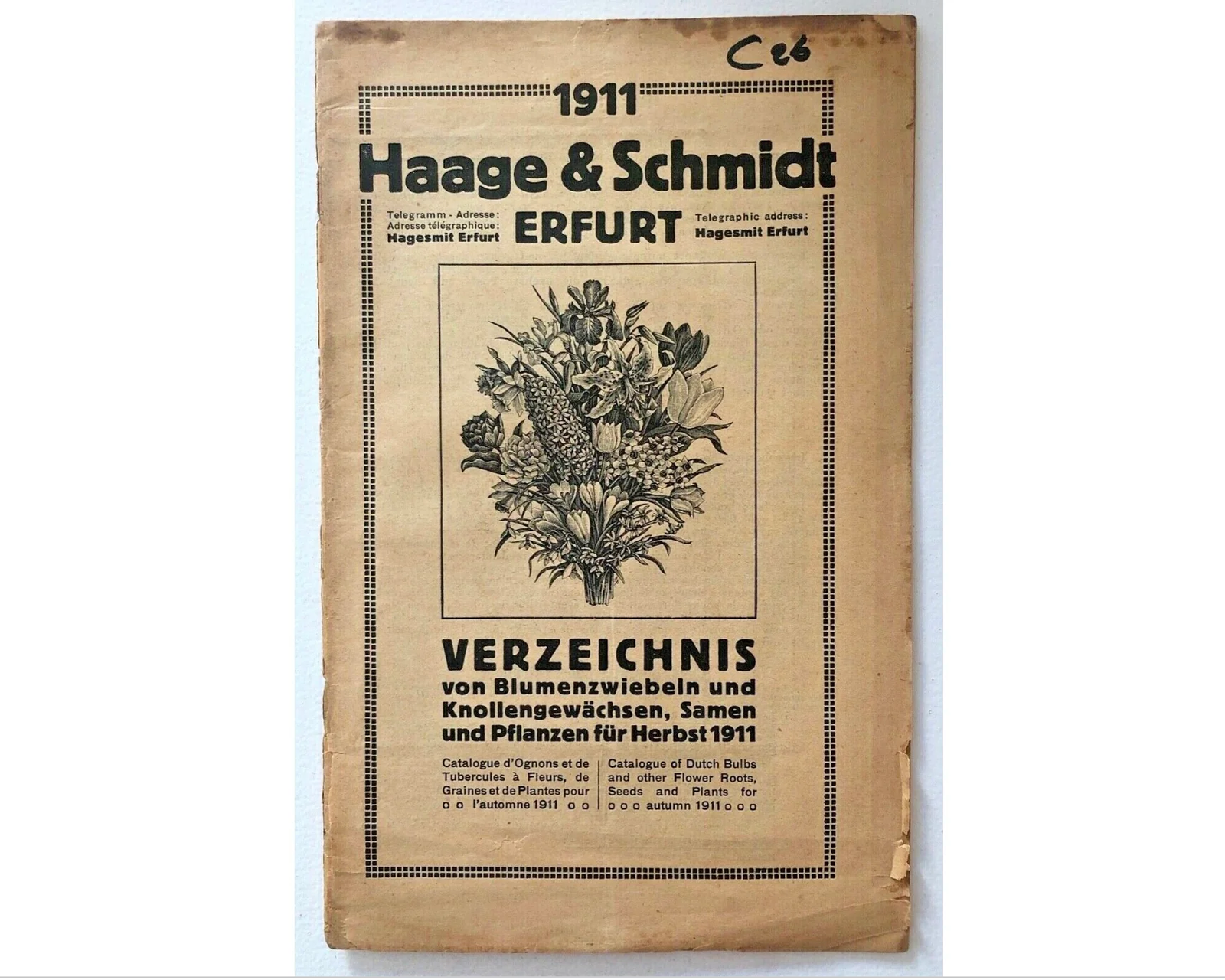 Catalogo vintage 1911 Haage & Schmidt Erfurt di bulbi da fiore, semi e piante per l'autunno