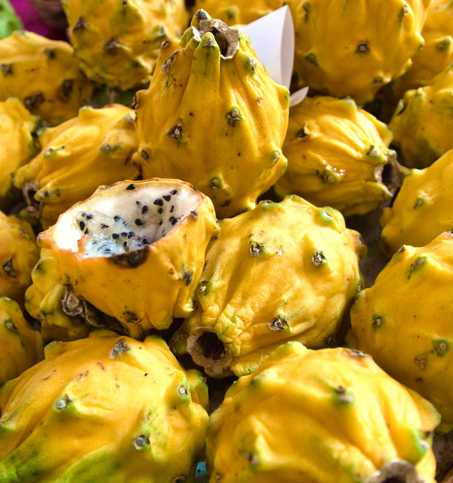 Frutti maturi di Hylocereus undatus giallo pitaya con scorza spigolosa e polpa bianca con semi visibili