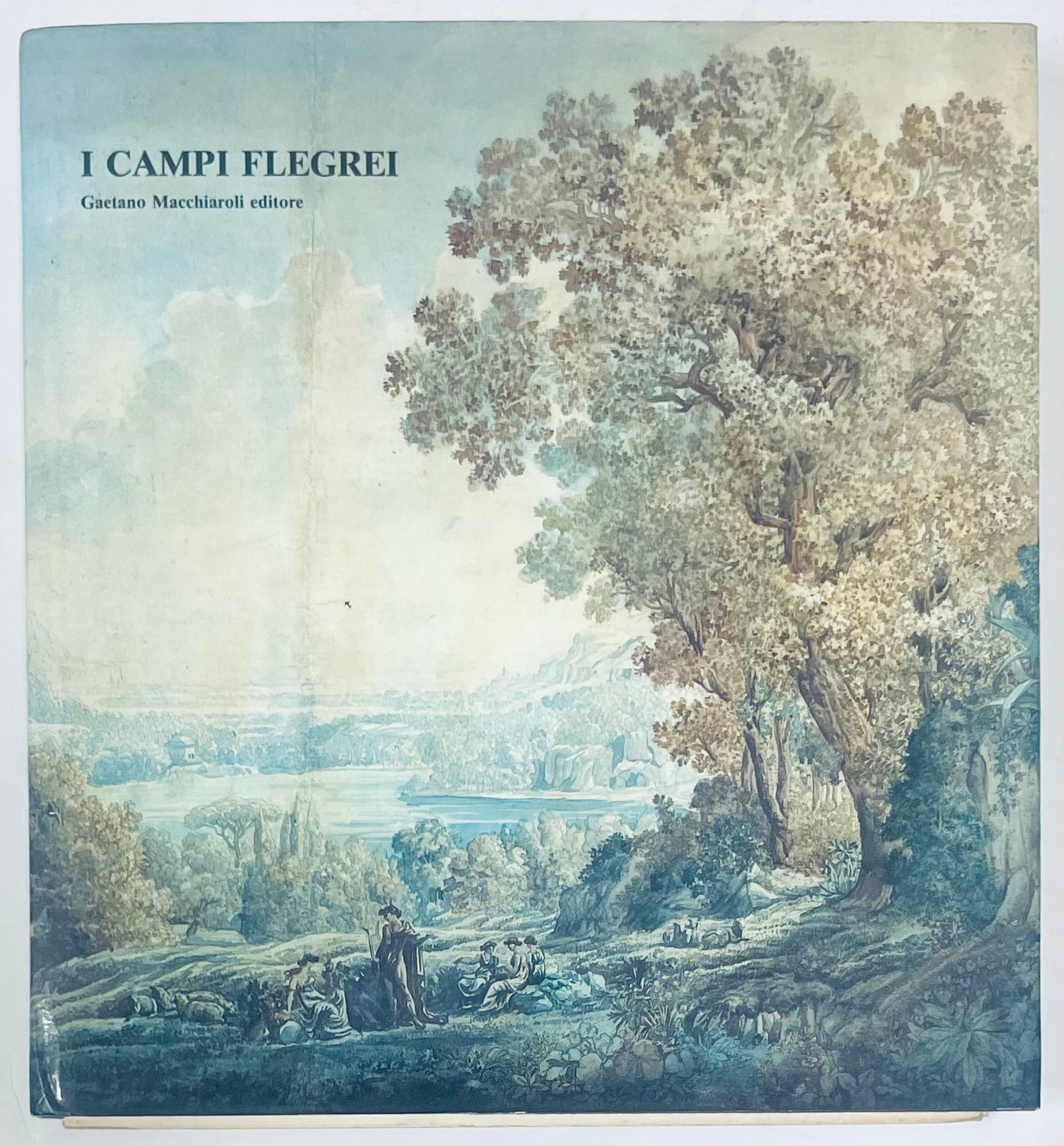 I CAMPI FLEGREI libro vintage illustrato di Gaetano Macchiaroli sui paesaggi e la storia italiane