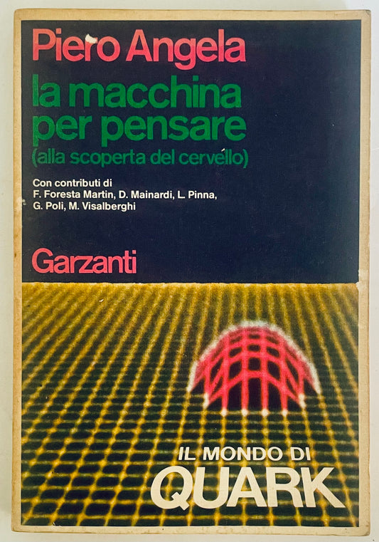 No botanical name found in the title to create alt text for a plant image.