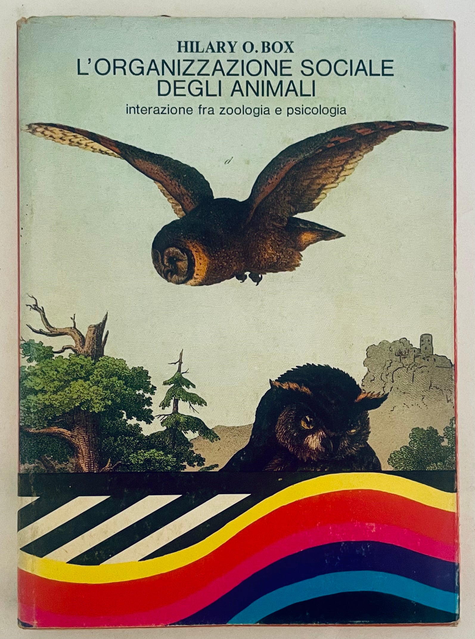 No botanical name present in the title to create alt text for a plant image.