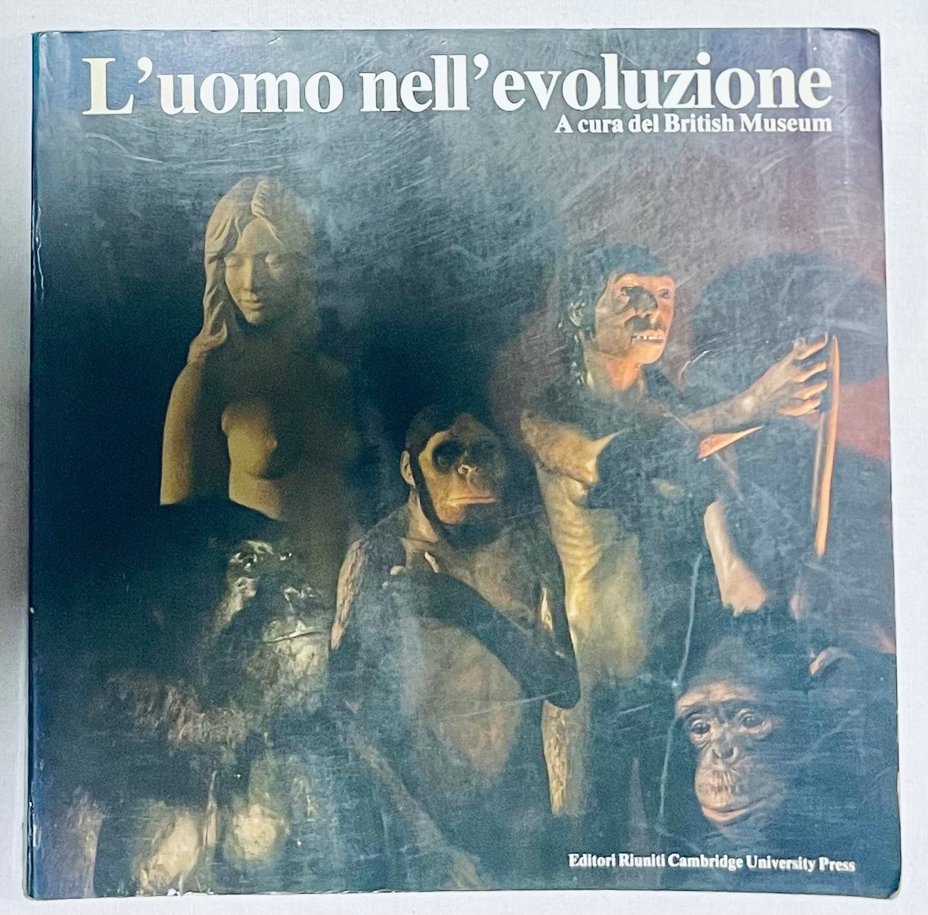 Libro vintage prima edizione L'uomo nell'evoluzione curato dal British Museum sull'evoluzione umana