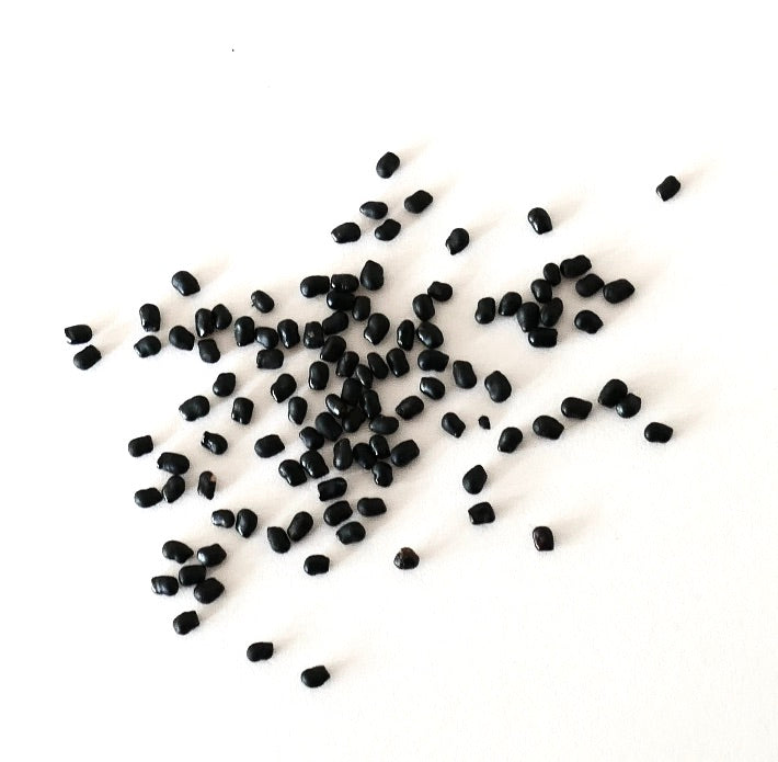 Morawetzia doelziana black seeds scattered on white background for planting