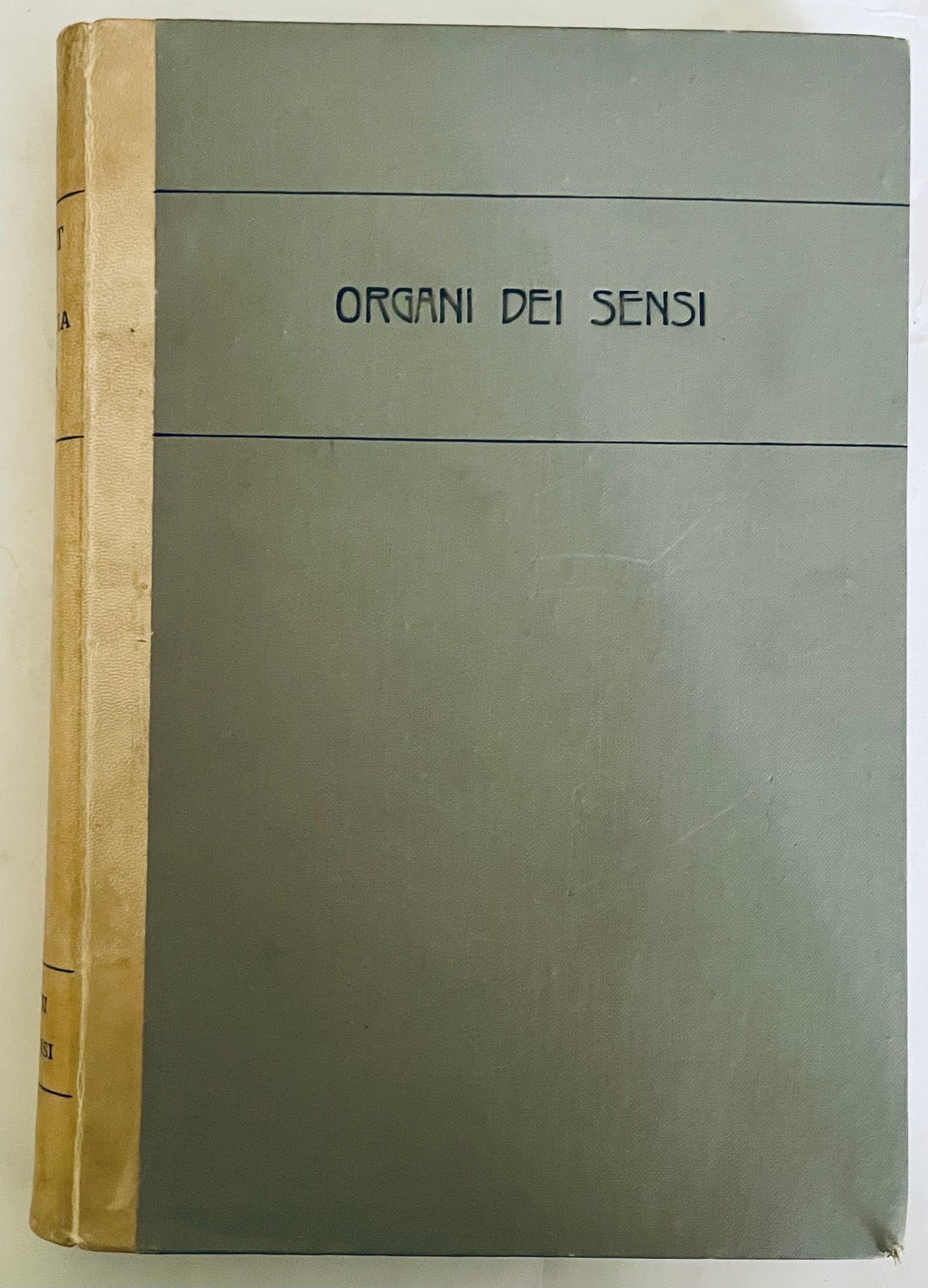 Libro vintage Organi Dei Sensi Vol. II Parte Quarta di L. Testut e G. Sperino sugli organi di senso