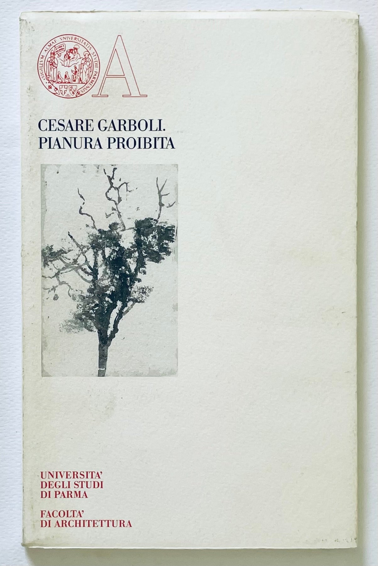 PIANURA PROIBITA rara illustrazione artistica di albero con rami e fogliame textureggiati