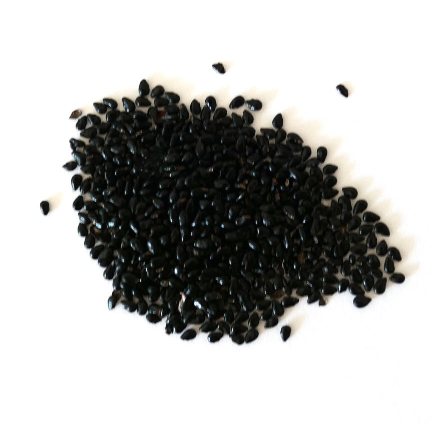 Pilosocereus pentaedrophorus black cactus seeds on white background