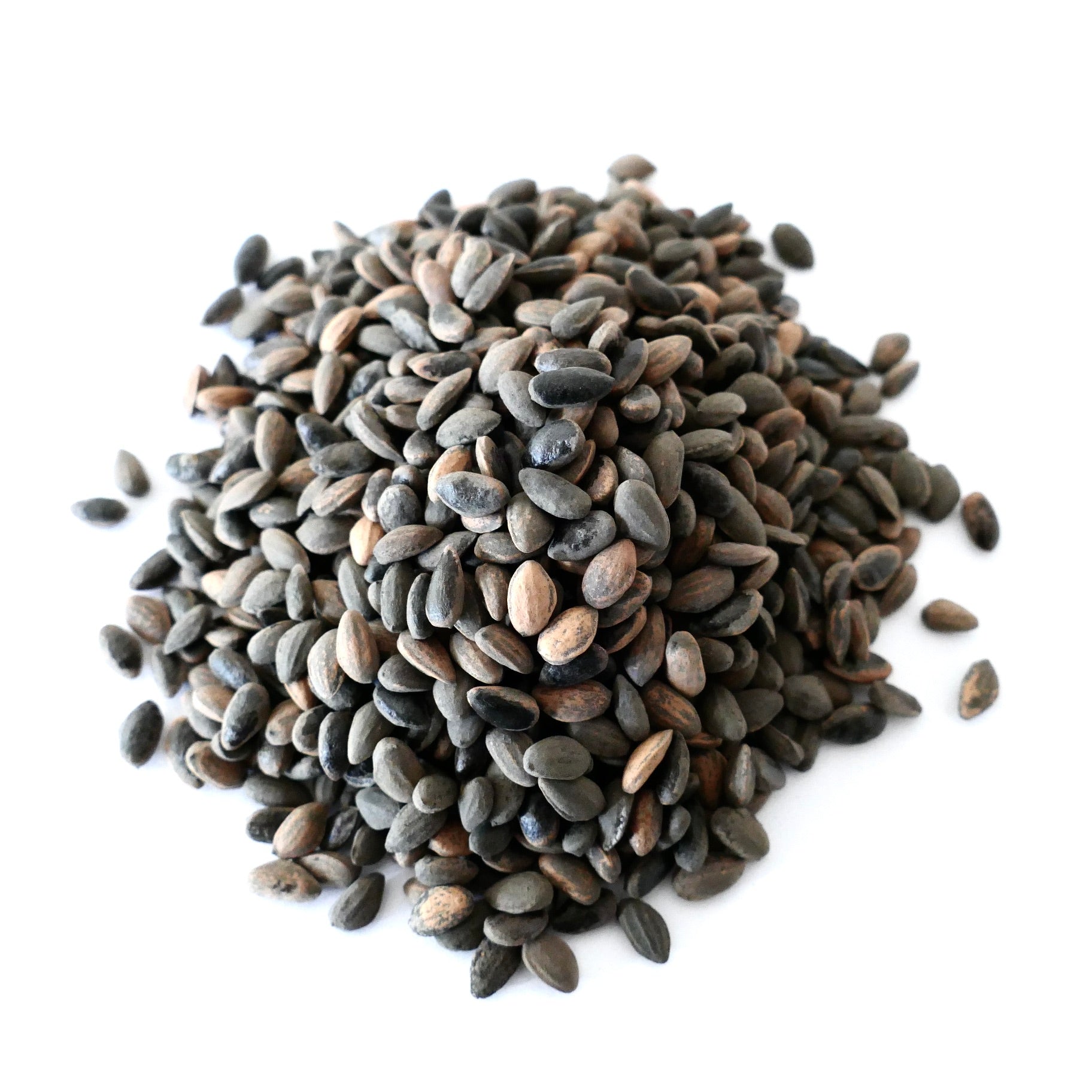 Pinus pinaster seeds pile with dark brown and black textured surfaces