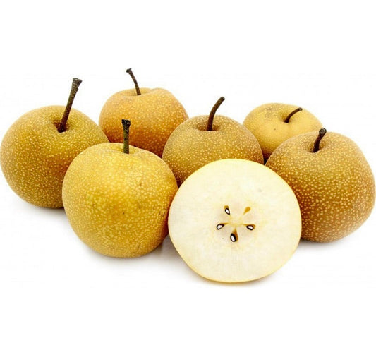 Pyrus pyrifolia cv NASHI Asian pear fruit with speckled yellow-brown skin and white flesh cross-section