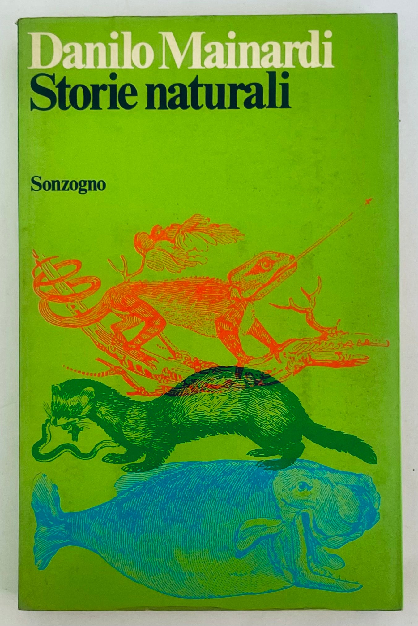 No botanical name present in the title to create SEO alt text.