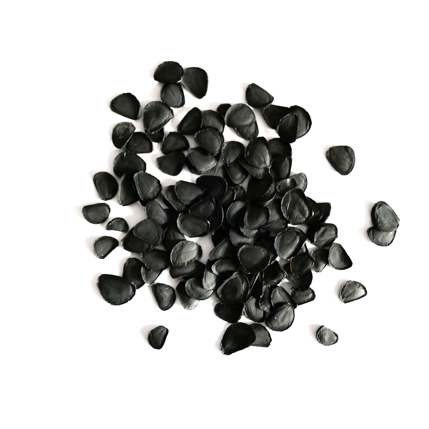 Yucca elata black seeds for planting desert tree species