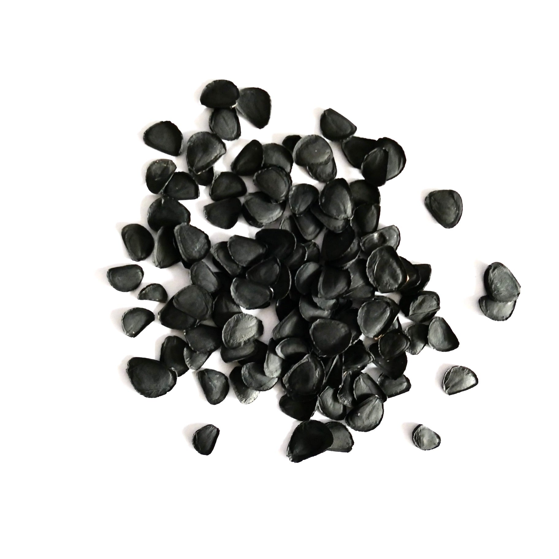 Yucca elata black seeds for planting desert tree species