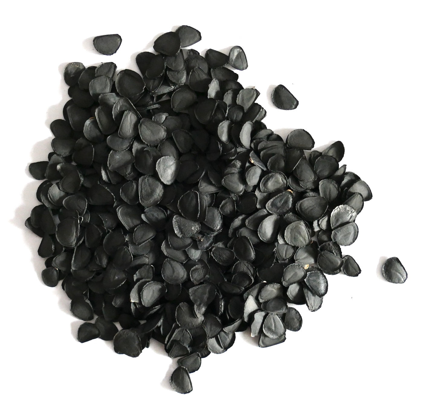 Yucca elata black seeds for rare desert plant propagation and cultivation